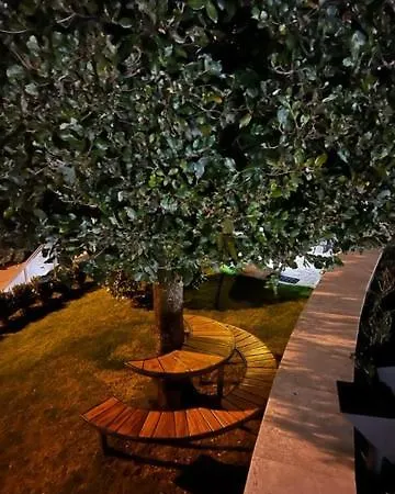 Appartement La Dama *